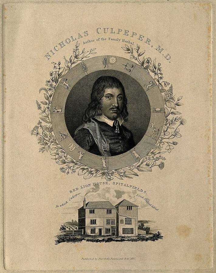 The Culpeper