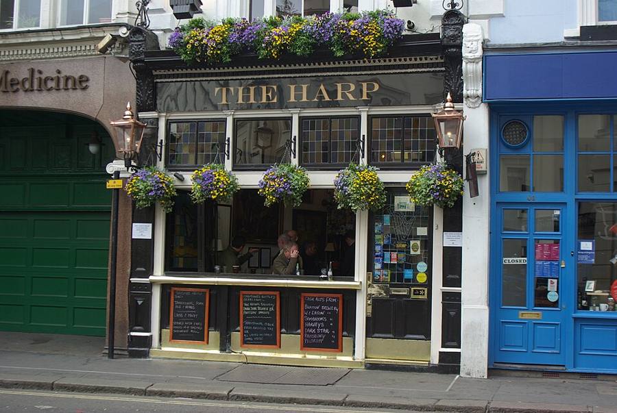 The Harp