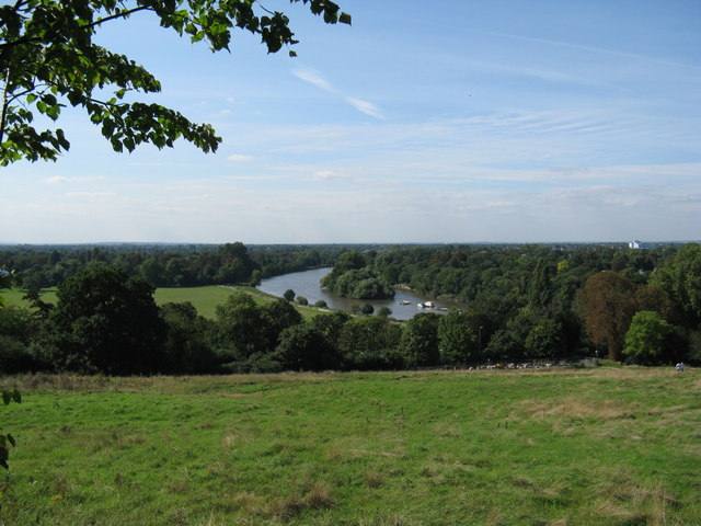The Roebuck