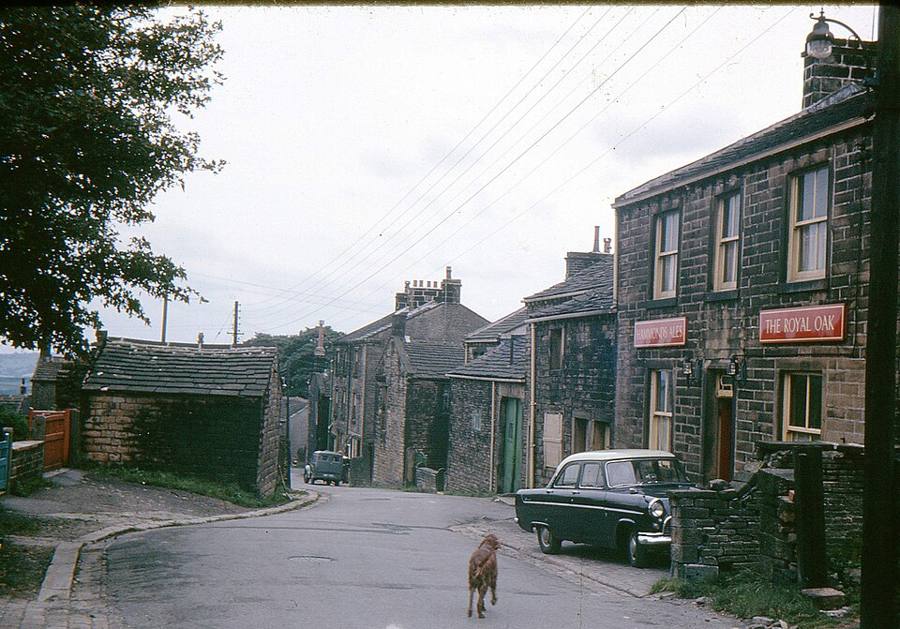 The Royal Oak
