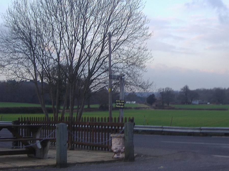 The Royal Oak